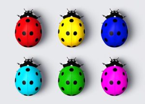 ladybugs, ladybug jewelry for adults